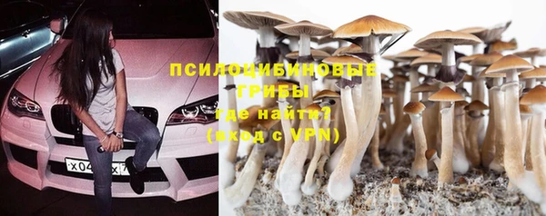 прущая мука Алзамай